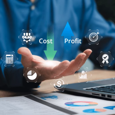 Business professional analyzing cost management strategies to increase profit and reduce software expenses.