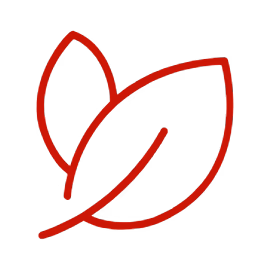 Wellness Heal Yourself Icon